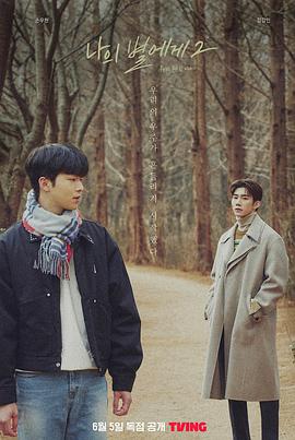 致我的星星第二季下载